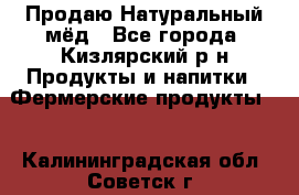 Продаю Натуральный мёд - Все города, Кизлярский р-н Продукты и напитки » Фермерские продукты   . Калининградская обл.,Советск г.